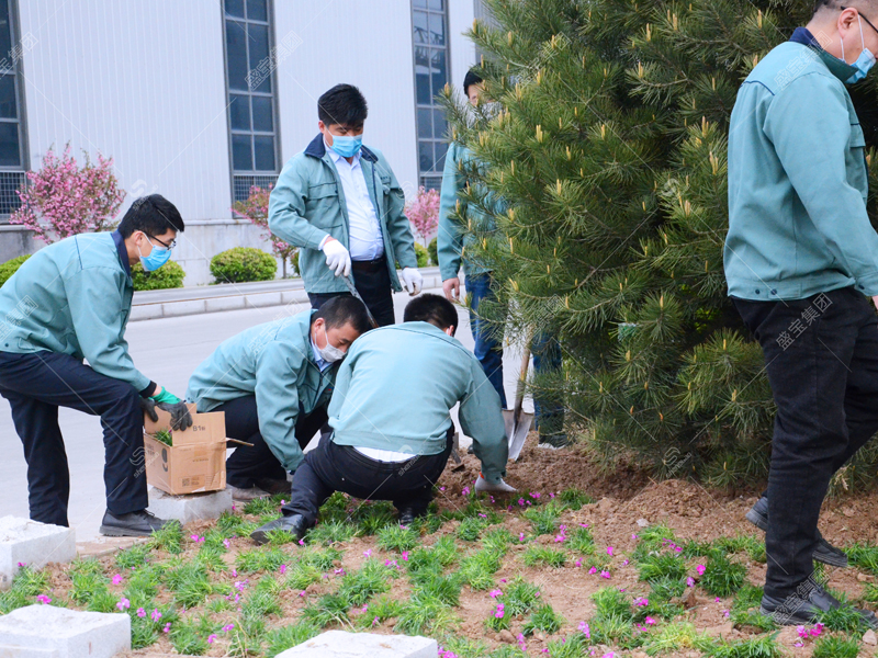 植樹節活動