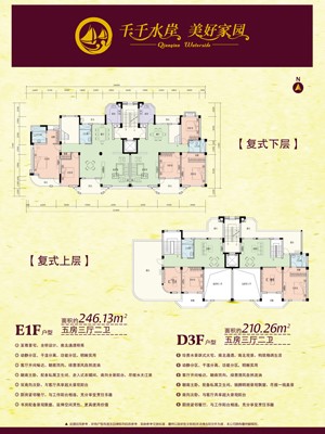 E1F戶型面積約246.13㎡